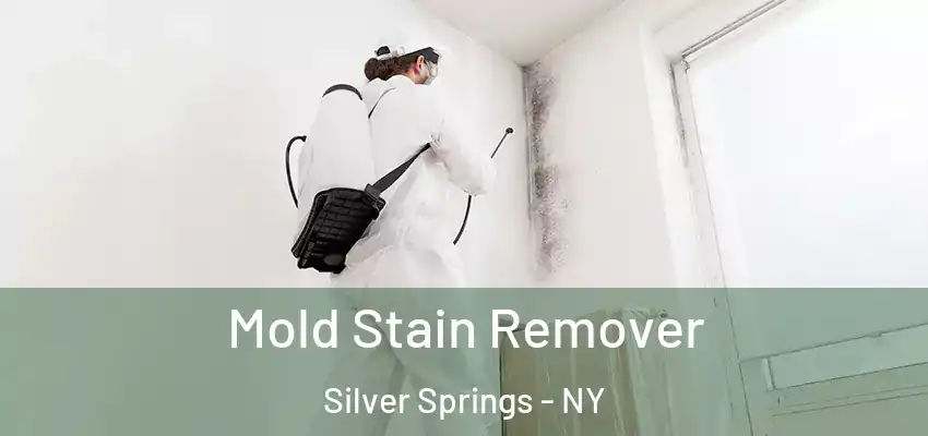  Mold Stain Remover Silver Springs - NY