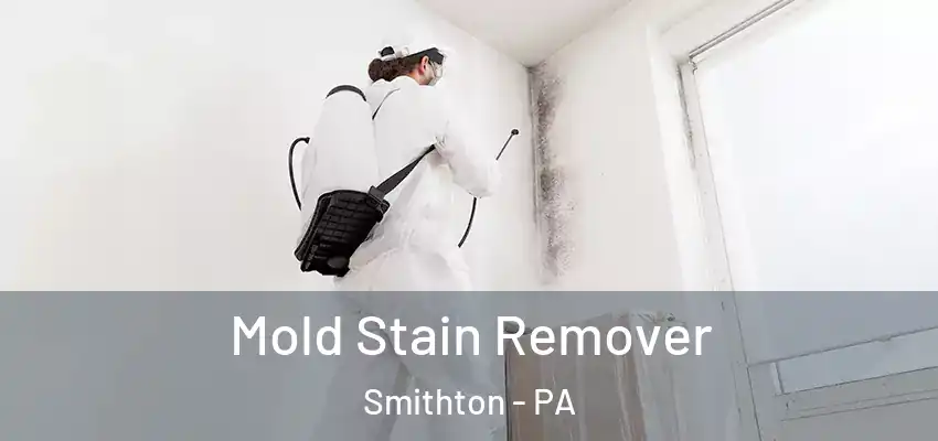  Mold Stain Remover Smithton - PA