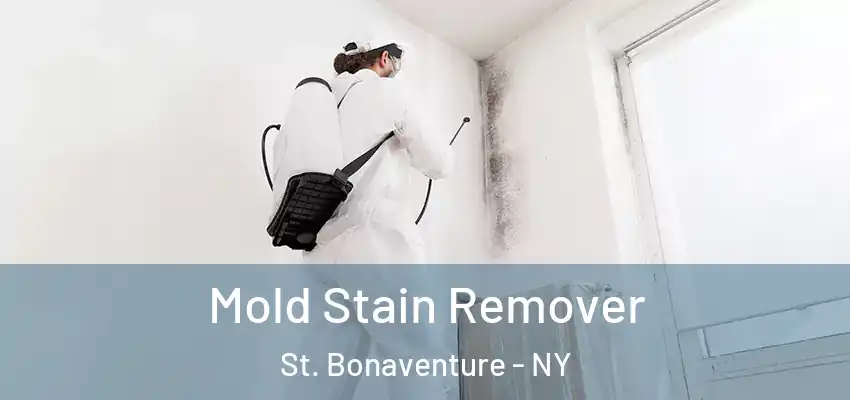  Mold Stain Remover St. Bonaventure - NY