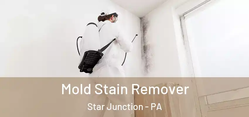  Mold Stain Remover Star Junction - PA