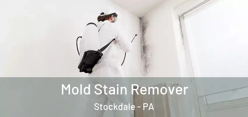  Mold Stain Remover Stockdale - PA