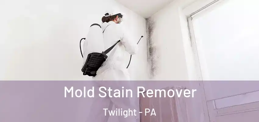  Mold Stain Remover Twilight - PA