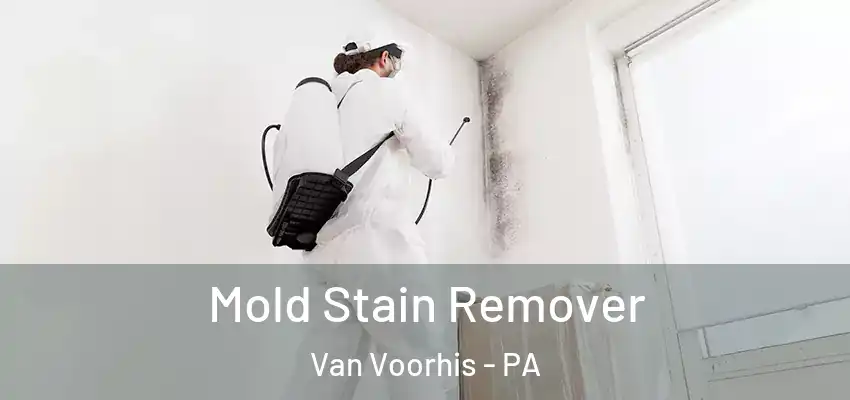  Mold Stain Remover Van Voorhis - PA