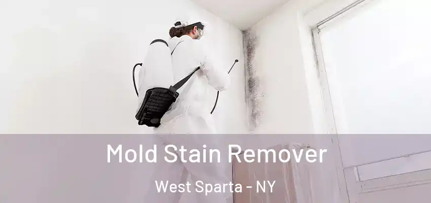  Mold Stain Remover West Sparta - NY