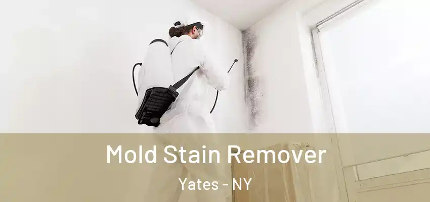  Mold Stain Remover Yates - NY
