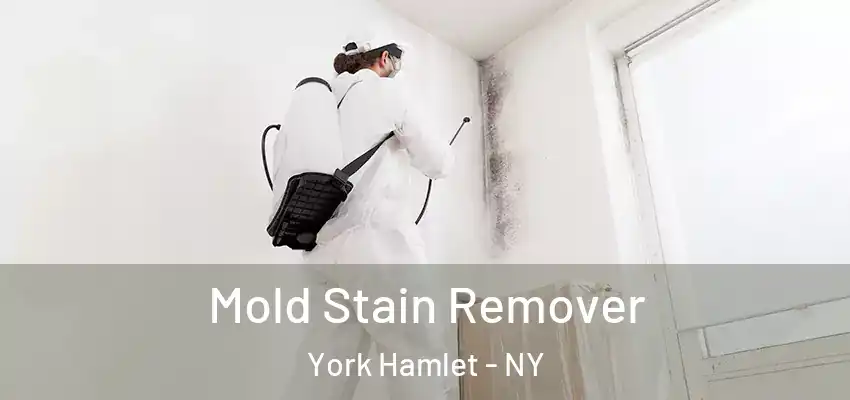  Mold Stain Remover York Hamlet - NY