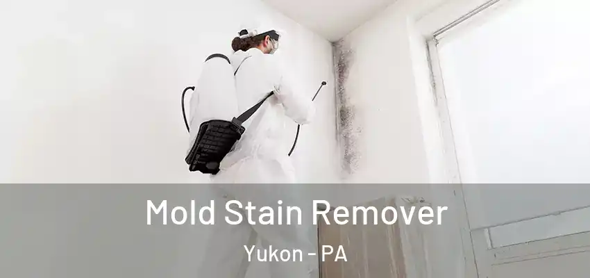  Mold Stain Remover Yukon - PA