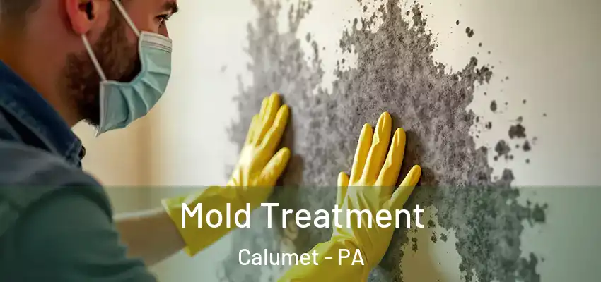  Mold Treatment Calumet - PA