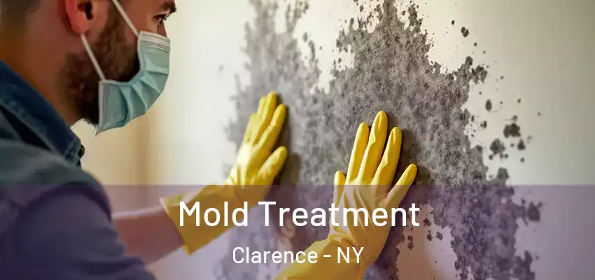  Mold Treatment Clarence - NY