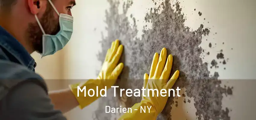  Mold Treatment Darien - NY