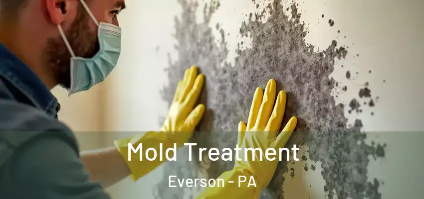  Mold Treatment Everson - PA