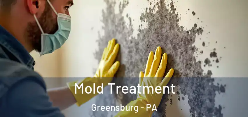  Mold Treatment Greensburg - PA