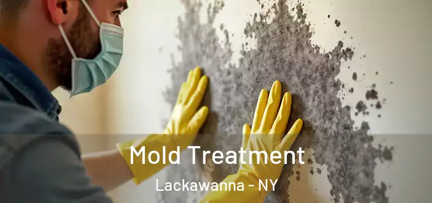  Mold Treatment Lackawanna - NY