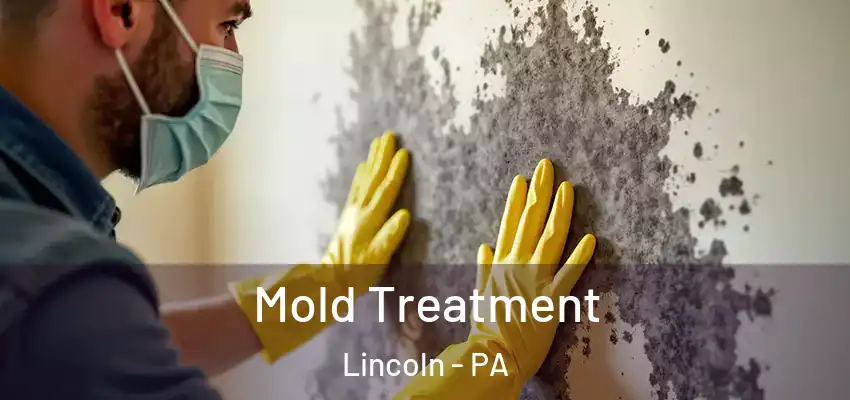  Mold Treatment Lincoln - PA