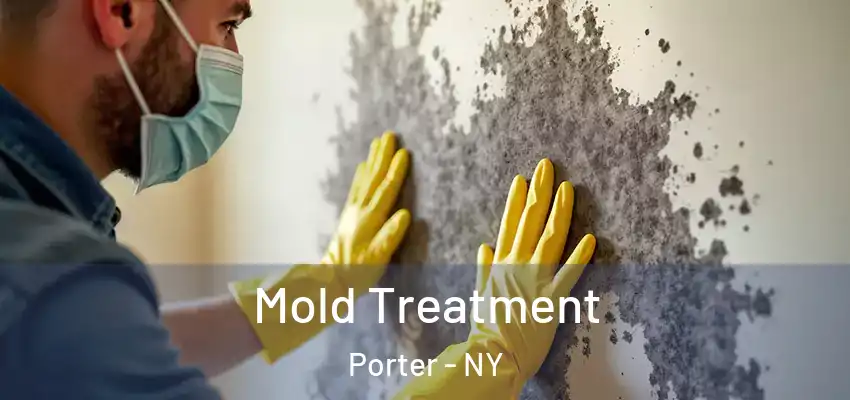  Mold Treatment Porter - NY