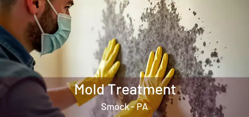  Mold Treatment Smock - PA