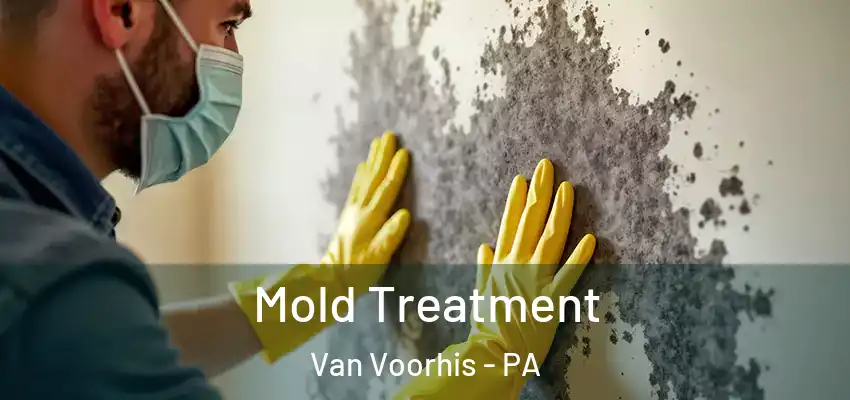  Mold Treatment Van Voorhis - PA