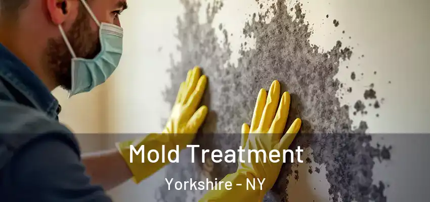  Mold Treatment Yorkshire - NY