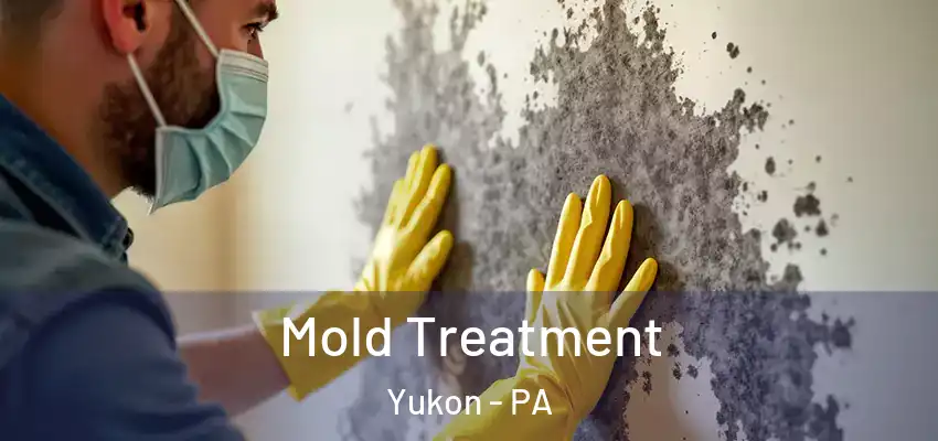 Mold Treatment Yukon - PA