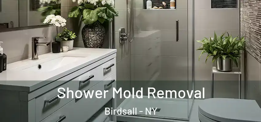  Shower Mold Removal Birdsall - NY