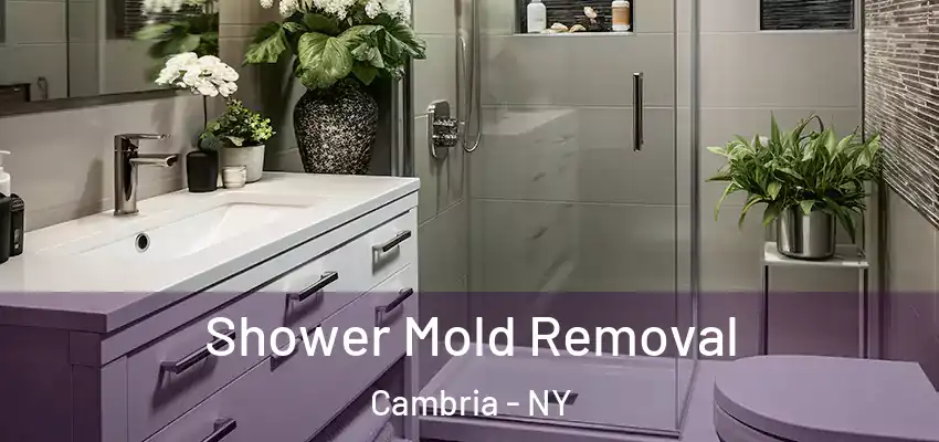  Shower Mold Removal Cambria - NY