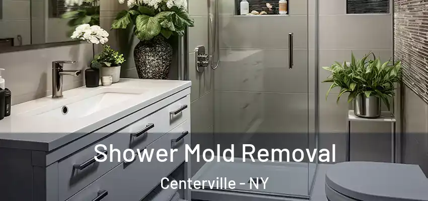  Shower Mold Removal Centerville - NY