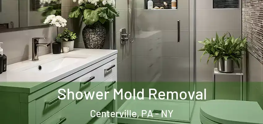  Shower Mold Removal Centerville, PA - NY
