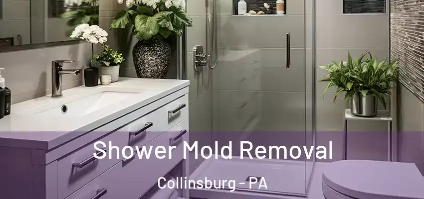  Shower Mold Removal Collinsburg - PA