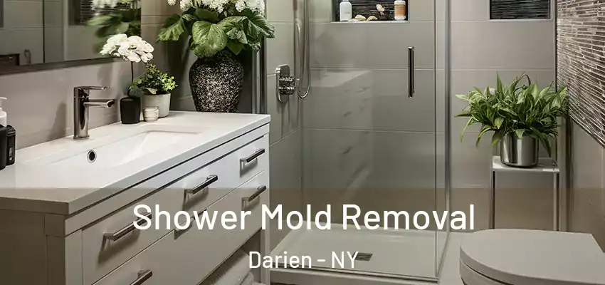  Shower Mold Removal Darien - NY