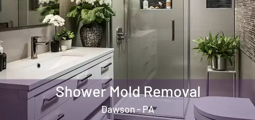  Shower Mold Removal Dawson - PA