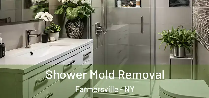  Shower Mold Removal Farmersville - NY