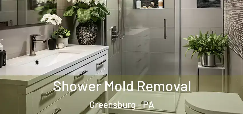  Shower Mold Removal Greensburg - PA