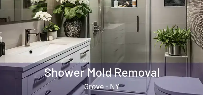  Shower Mold Removal Grove - NY