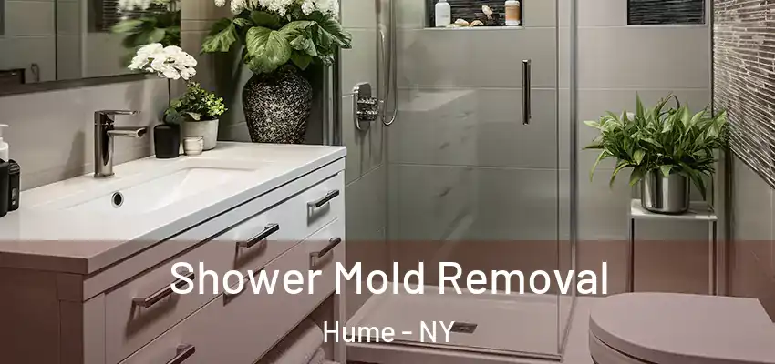  Shower Mold Removal Hume - NY