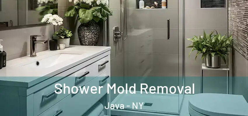  Shower Mold Removal Java - NY
