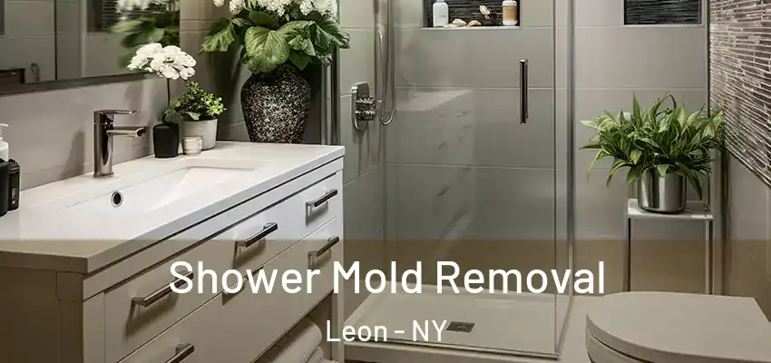  Shower Mold Removal Leon - NY