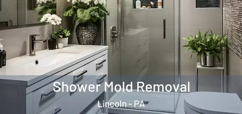  Shower Mold Removal Lincoln - PA