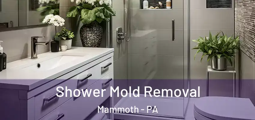  Shower Mold Removal Mammoth - PA