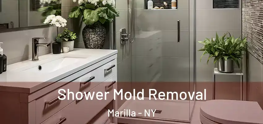  Shower Mold Removal Marilla - NY