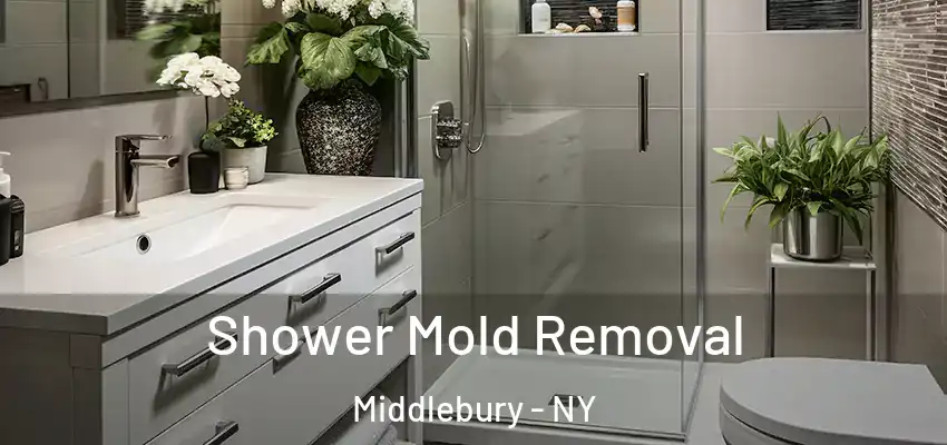  Shower Mold Removal Middlebury - NY