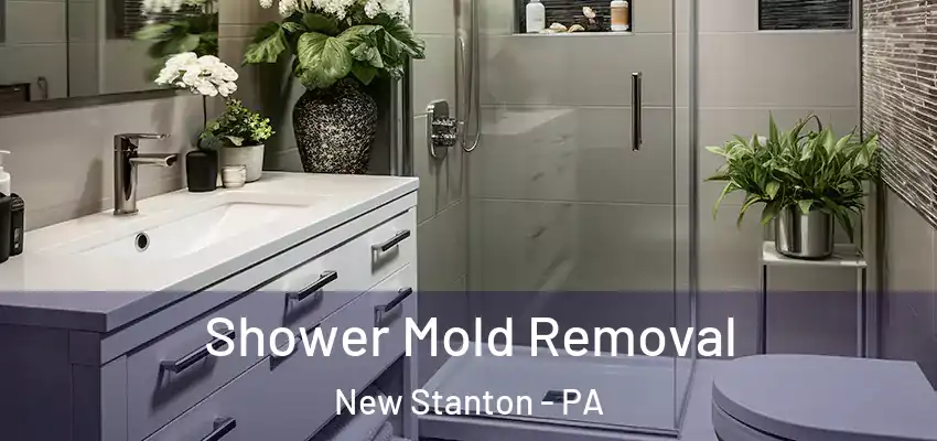  Shower Mold Removal New Stanton - PA