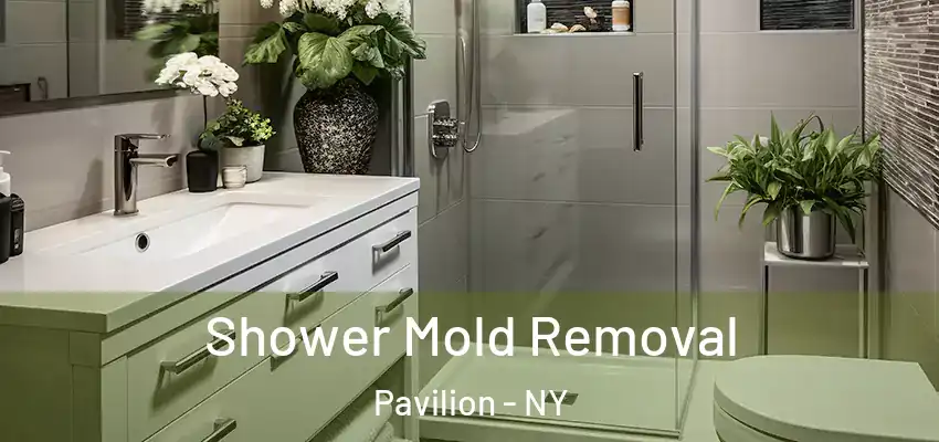  Shower Mold Removal Pavilion - NY