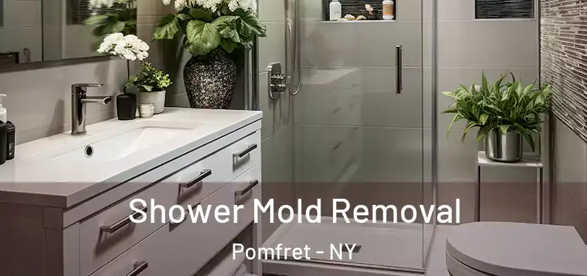  Shower Mold Removal Pomfret - NY