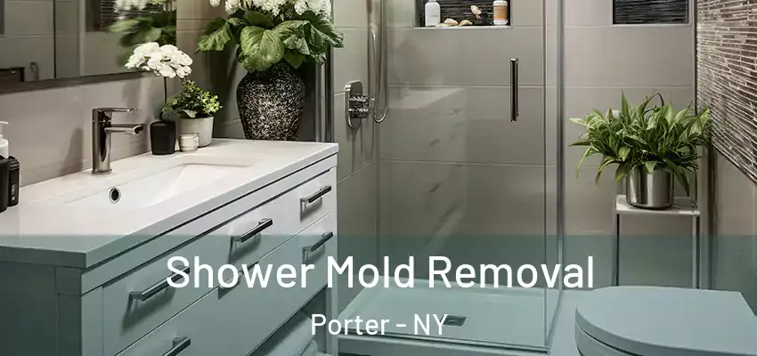  Shower Mold Removal Porter - NY