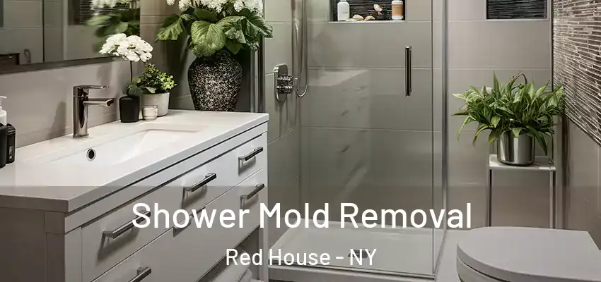  Shower Mold Removal Red House - NY