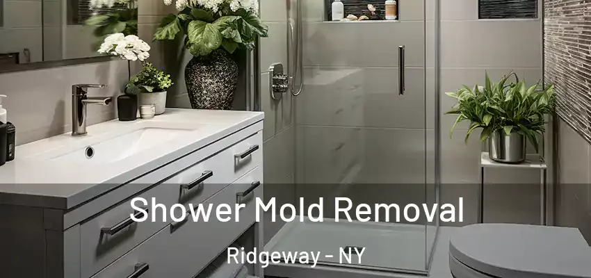  Shower Mold Removal Ridgeway - NY