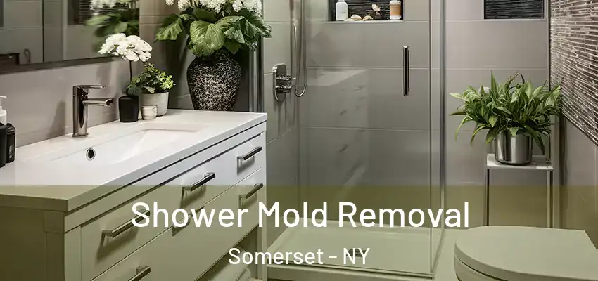  Shower Mold Removal Somerset - NY