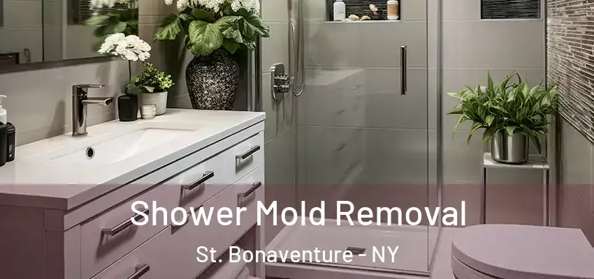 Shower Mold Removal St. Bonaventure - NY