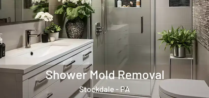  Shower Mold Removal Stockdale - PA