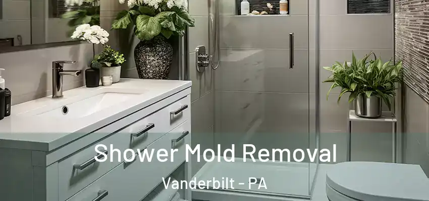  Shower Mold Removal Vanderbilt - PA